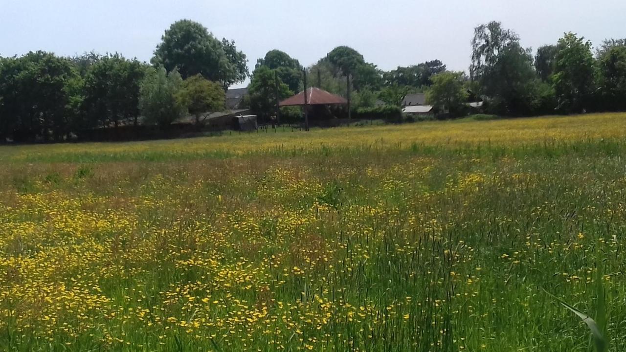 Ecolodge De Parel Schoorl Dış mekan fotoğraf