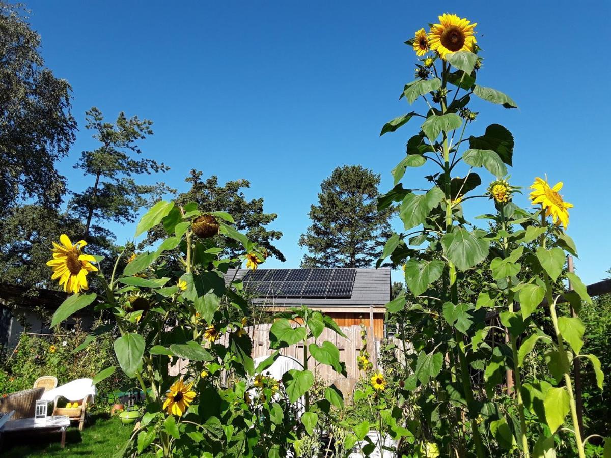 Ecolodge De Parel Schoorl Dış mekan fotoğraf